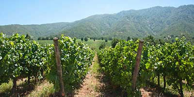 Valle de Cachapoal
