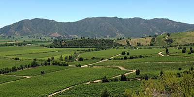 Valle de Colchagua