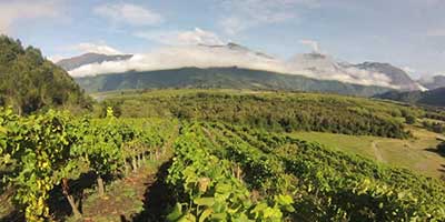 valle del biobío