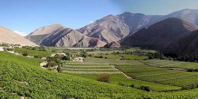 Valle de Elqui